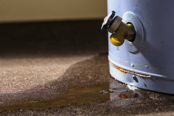 Best Ceiling water damage repair  in Clinton, NC
