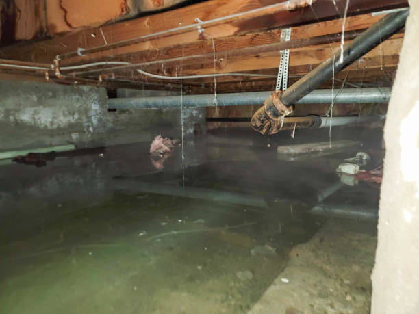 Best Carpet water damage restoration  in Clinton, NC