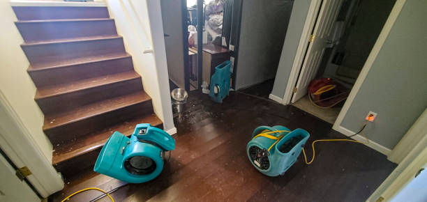 Best Flood restoration services  in Clinton, NC