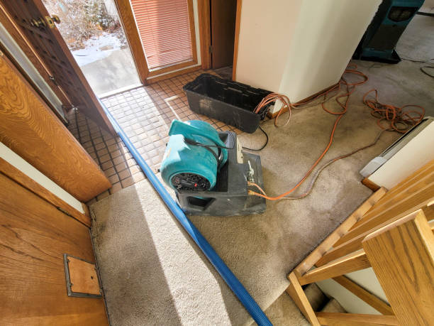 Best Sewage cleanup and water damage restoration  in Clinton, NC