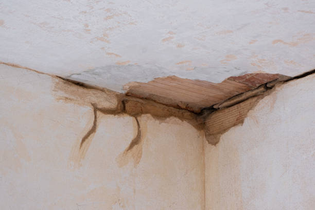 Best Local water damage restoration  in Clinton, NC