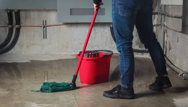Best 24-hour water damage restoration  in Clinton, NC