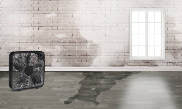 Carpet water damage restoration in Clinton, NC
