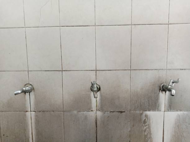 Reliable Clinton, NC Water damage restoration Solutions