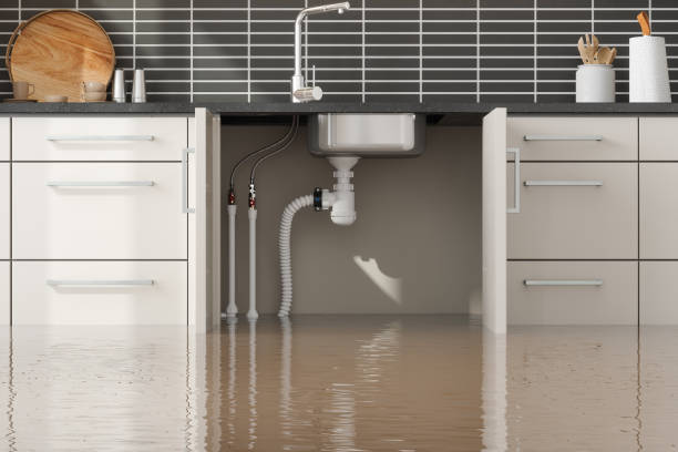 Best Water damage restoration near me  in Clinton, NC