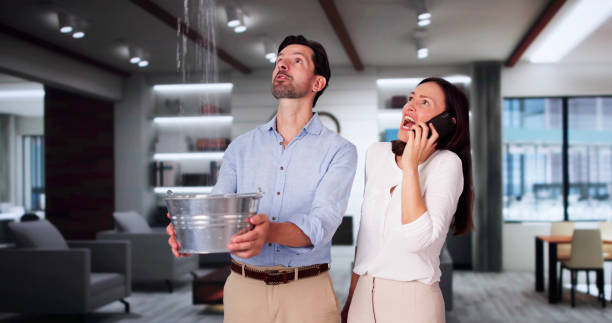 Best Mold removal after water damage  in Clinton, NC