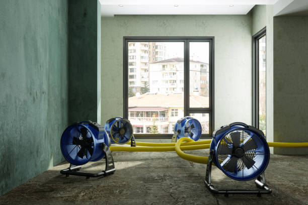 Water damage restoration experts in Clinton, NC
